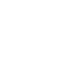 Driving the Dream Pegasus